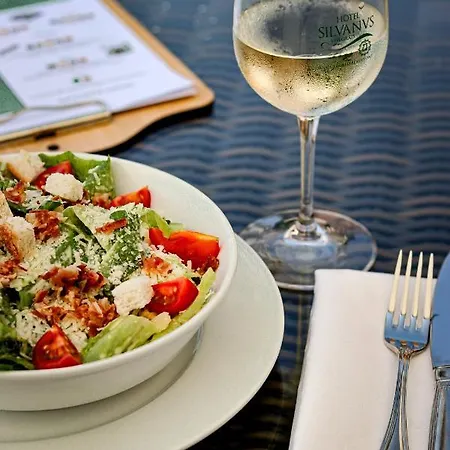 Silvanus Hotel Visegrád